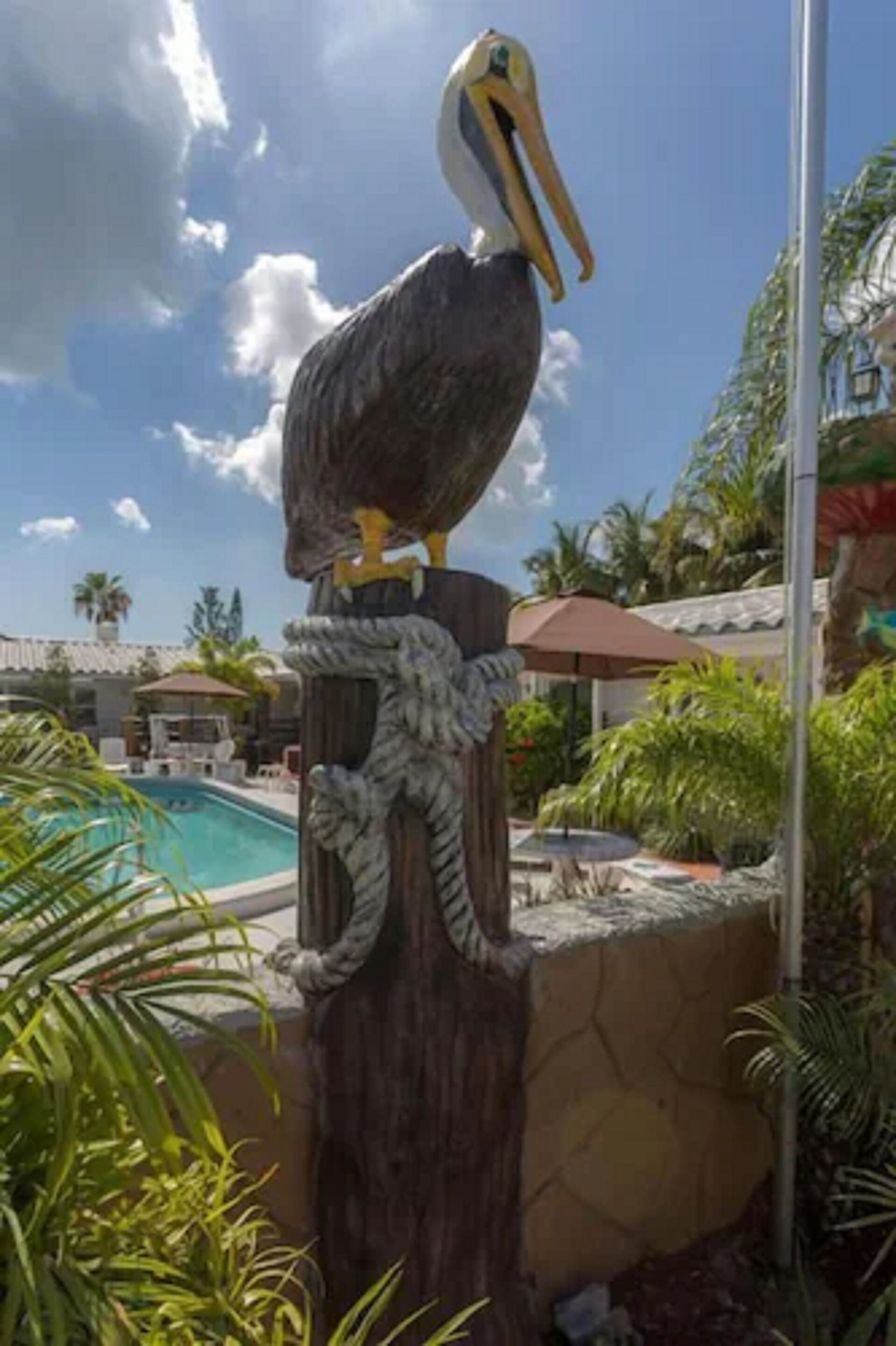 A large pelican statue on a wooden post near a pool area with palm trees and a clear sky.