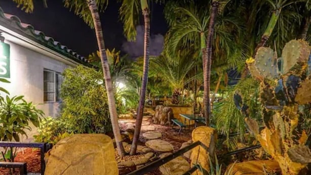 A nighttime view of a tropical garden with palm trees, cacti, and a stone pathway leading to a building with a green sign. - Green Seas Motel (Hollywood)
