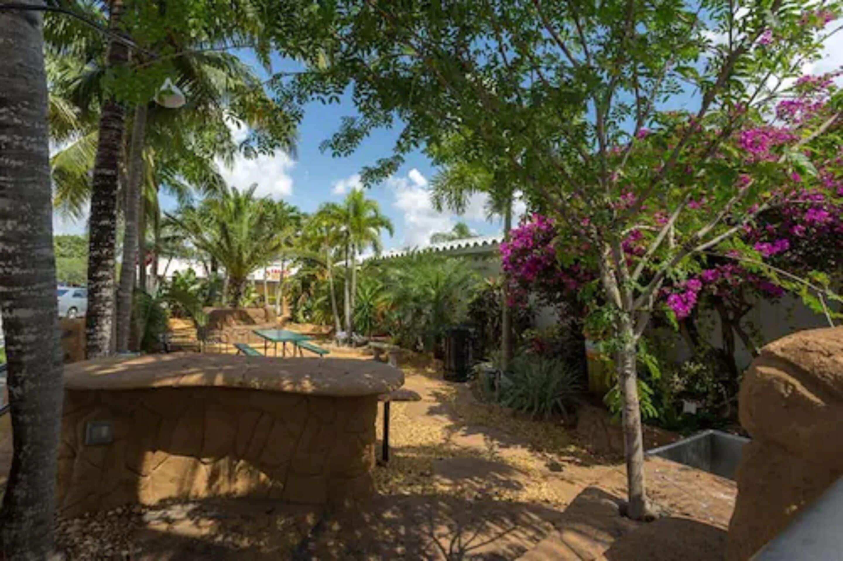 A garden area with a stone bench, palm trees, and bougainvillea flowers.