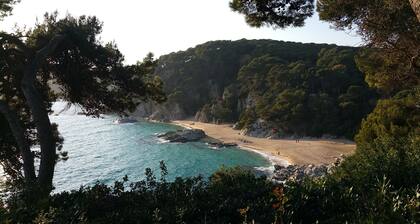 Lloret De Mar: ZEN Luxury Villa - Canyelles- Lloret de Mar, SPA, swimm-pool