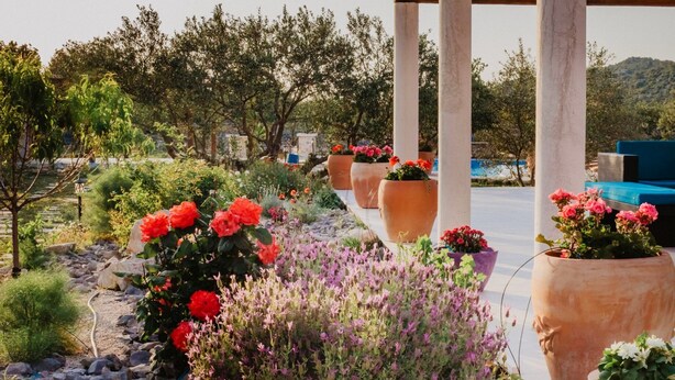 A garden with potted plants and a pergola structure. - Villa Red Hacienda with Pool (Vodice)