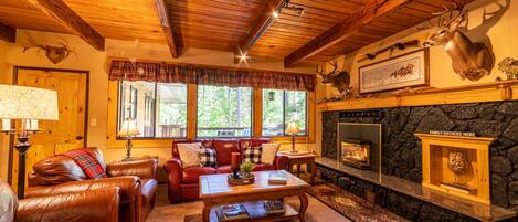 Smart-TV, Kamin, DVD-Player, Bücher