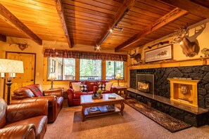 Smart TV, fireplace, DVD player, books