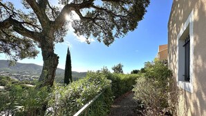 Un chemin de gravier bordé de verdure et un bâtiment doté d’une fenêtre.