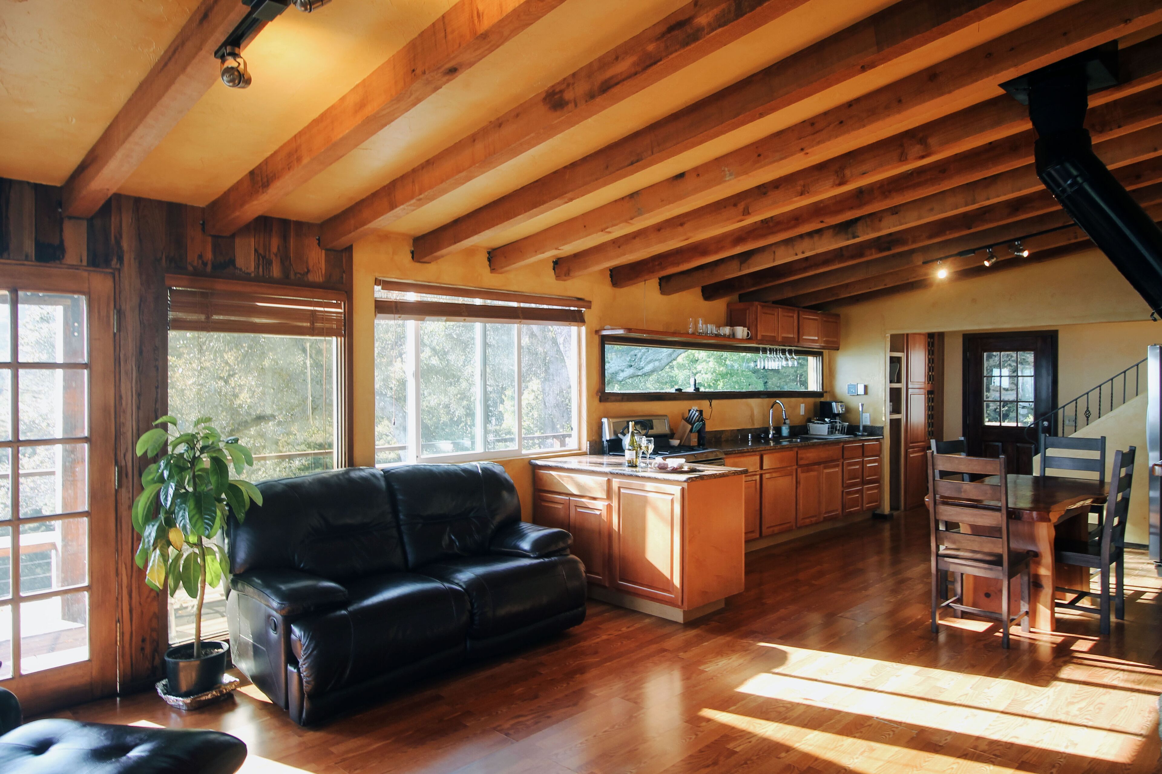 14 Best PetFriendly Cabins Near Big Sur, California Updated 2024