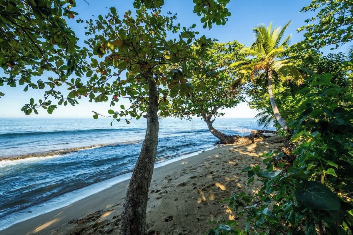 On the beach, sun-loungers, beach towels