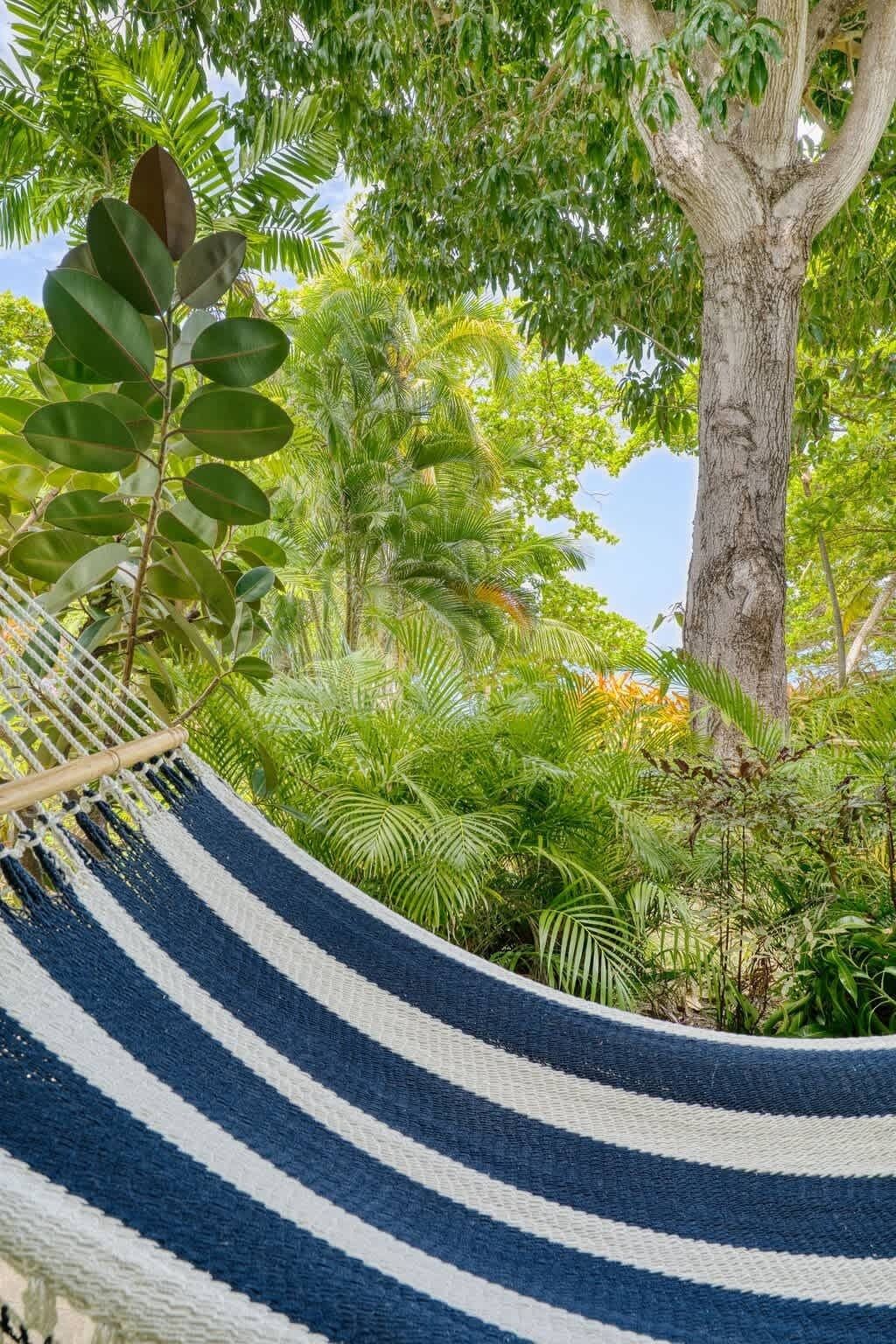 Un hamac dans un jardin luxuriant, parsemé de différentes espèces de plantes à feuillage verdoyant, avec un grand tronc d’arbre.