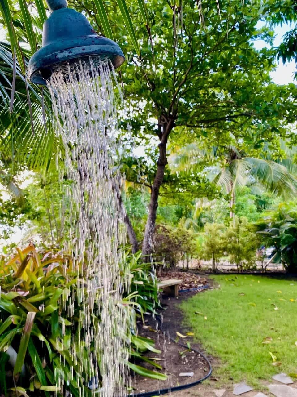 A garden with a water feature, including a fountain and a pond.