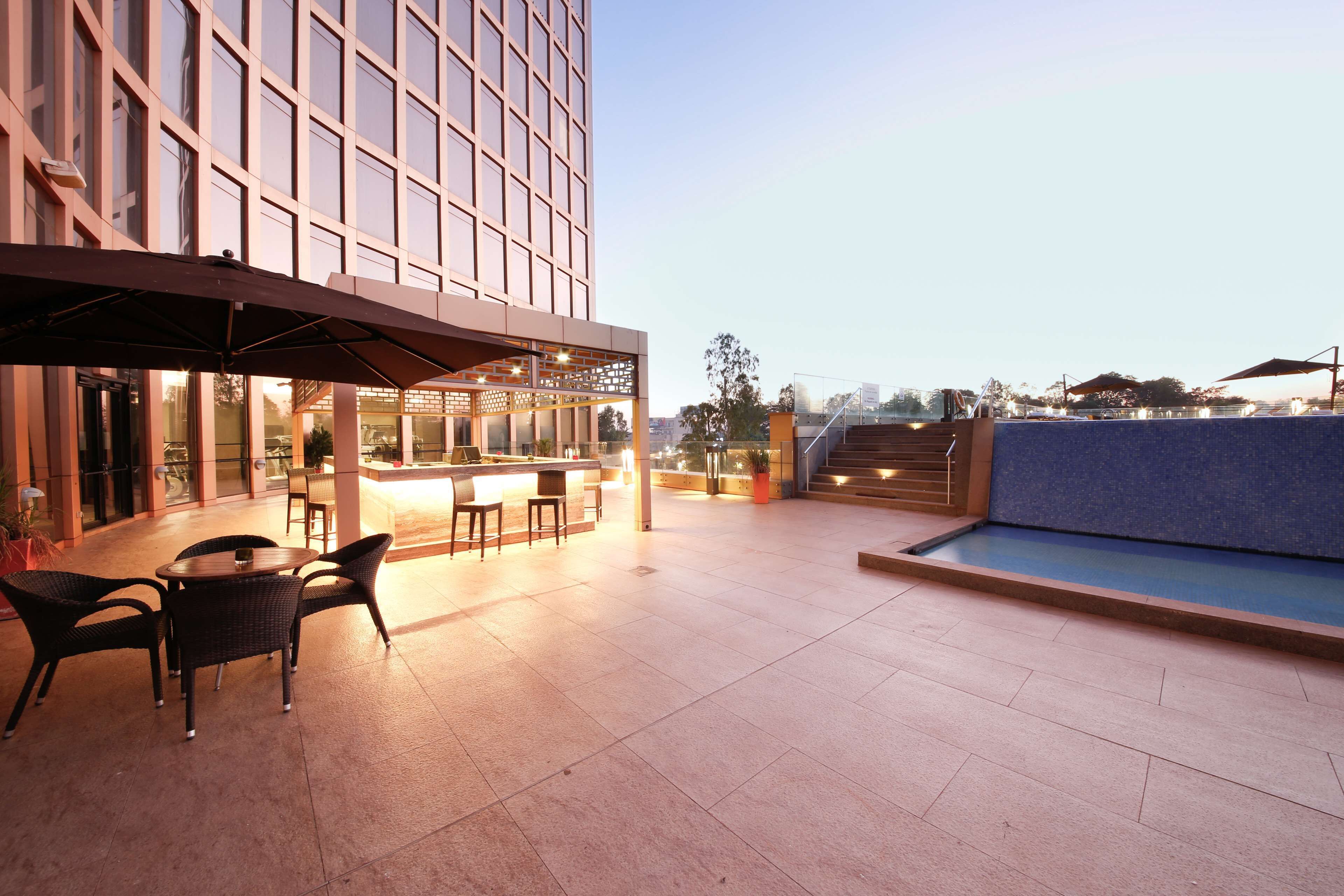 outdoor pool, pool loungers