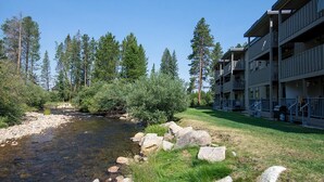 Uklassifisert bilde, 3 av 31, knapp