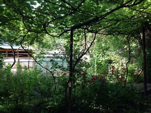 Garden - Guest House Besarioni (Borjomi)