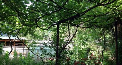 Guest House Besarioni