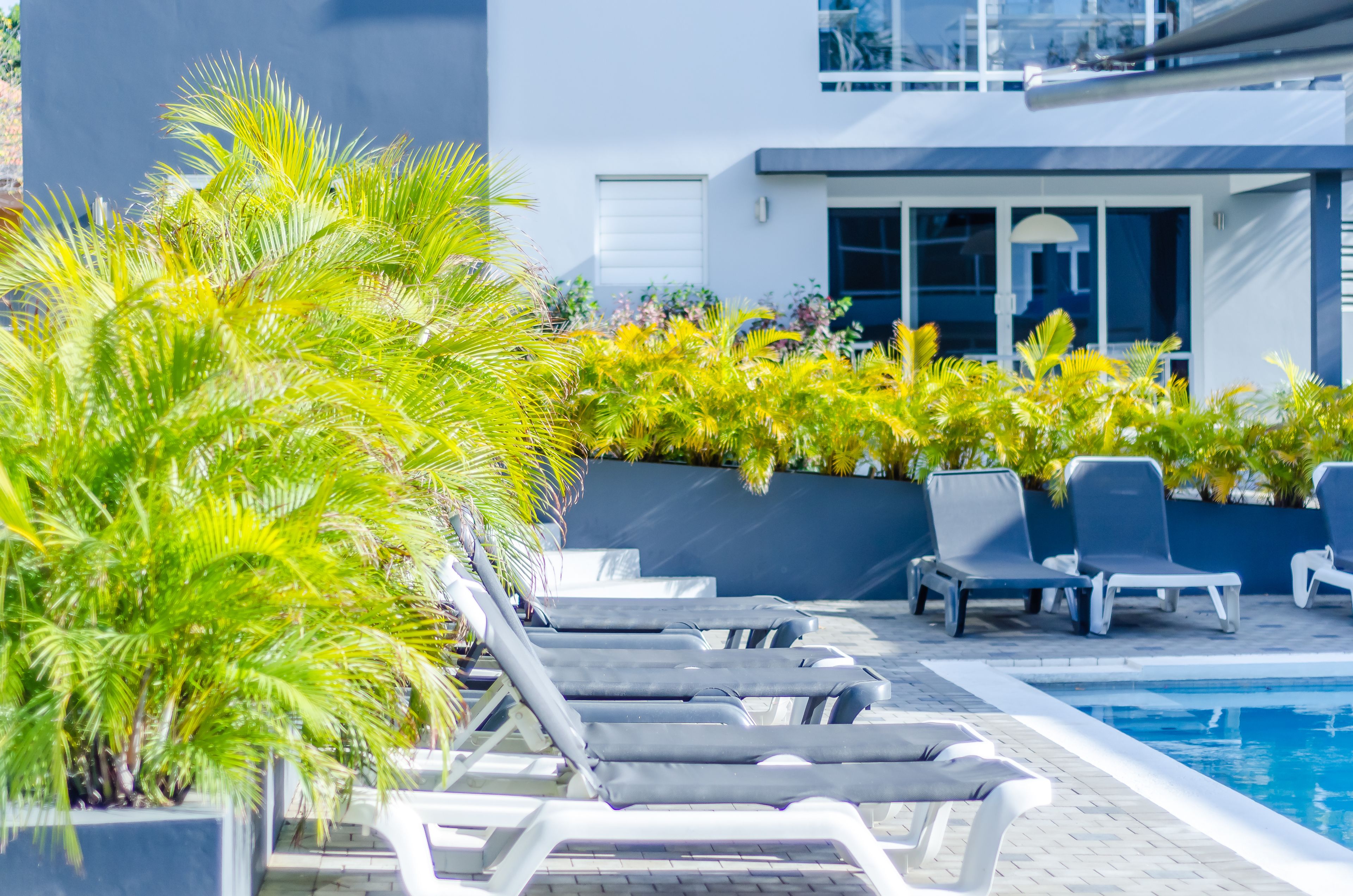 Outdoor pool, pool umbrellas, pool loungers