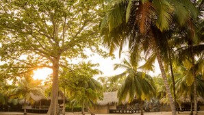 Escena de playa con palmeras, una cabaña de techo de paja y arena.