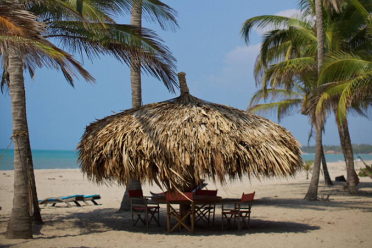 A beach scene with palm trees, a thatched-roof hut, and a sandy beach.