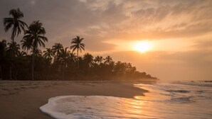 Una playa con palmeras y el sol poniéndose sobre el océano.
