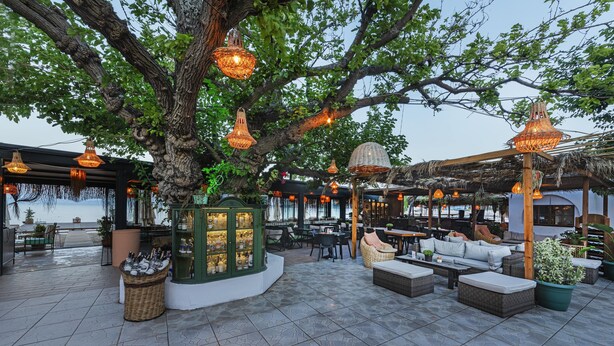 Un área de estar al aire libre con mobiliario de mimbre, luces colgantes y un gran árbol que da sombra.