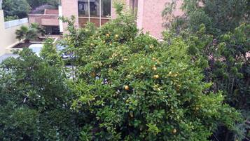 Triple Room, Private Bathroom | View from room