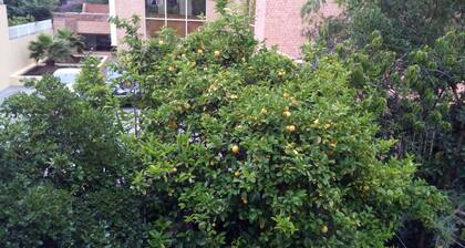 Hostal Casa Oriente Viña