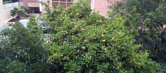 Hostal Casa Oriente Viña