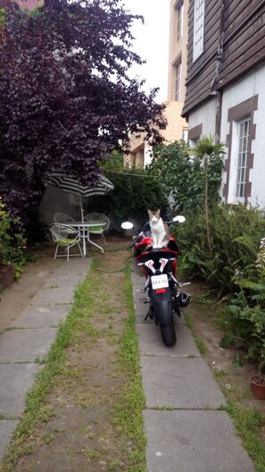 Garden - Hostal Casa Oriente Viña (Vina del Mar)