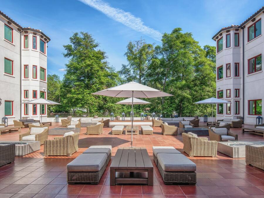 A spacious outdoor seating area with multiple tables and chairs, surrounded by trees and a clear sky.