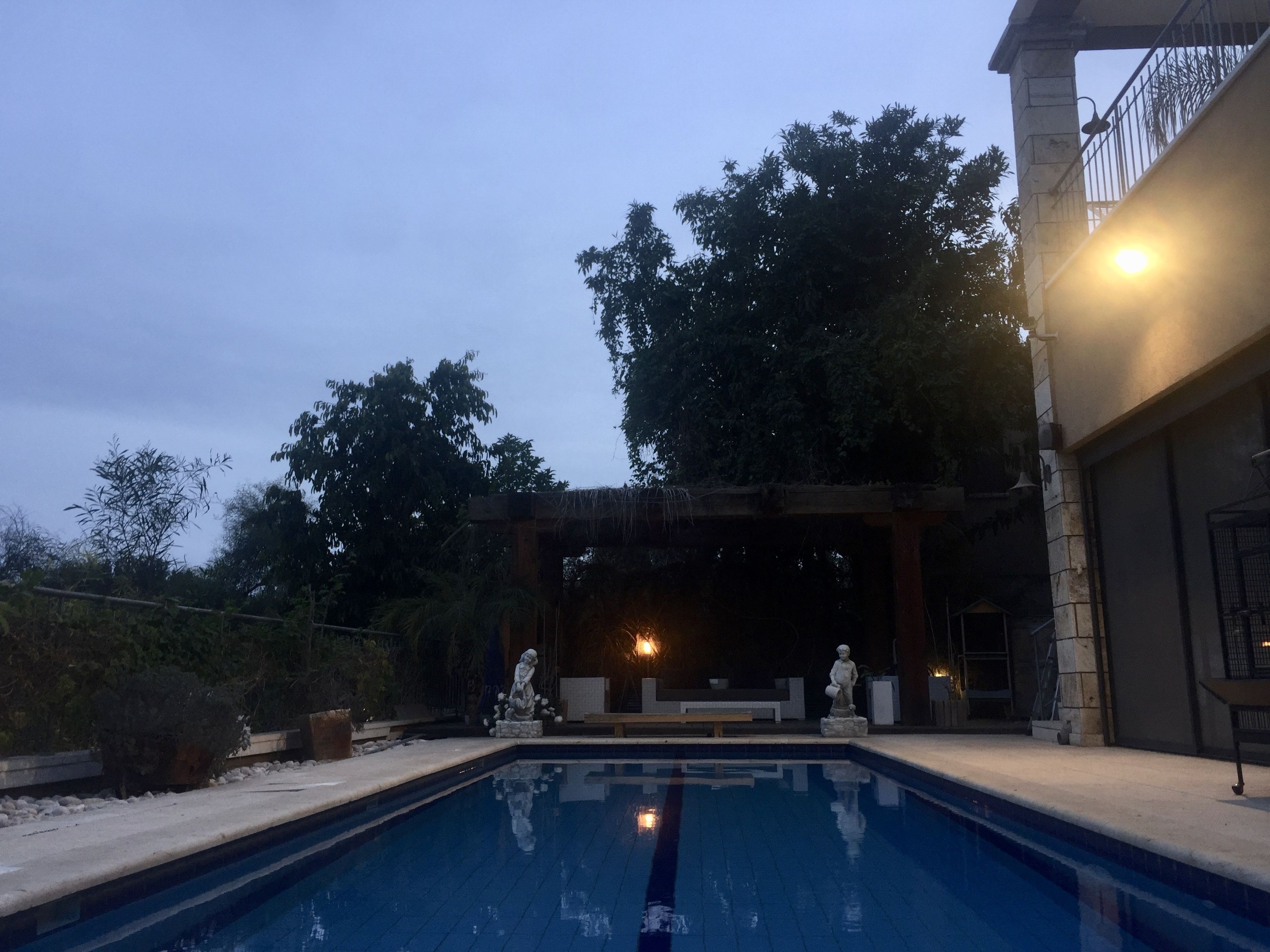 A swimming pool with two statues, surrounded by trees and a covered area with a light.