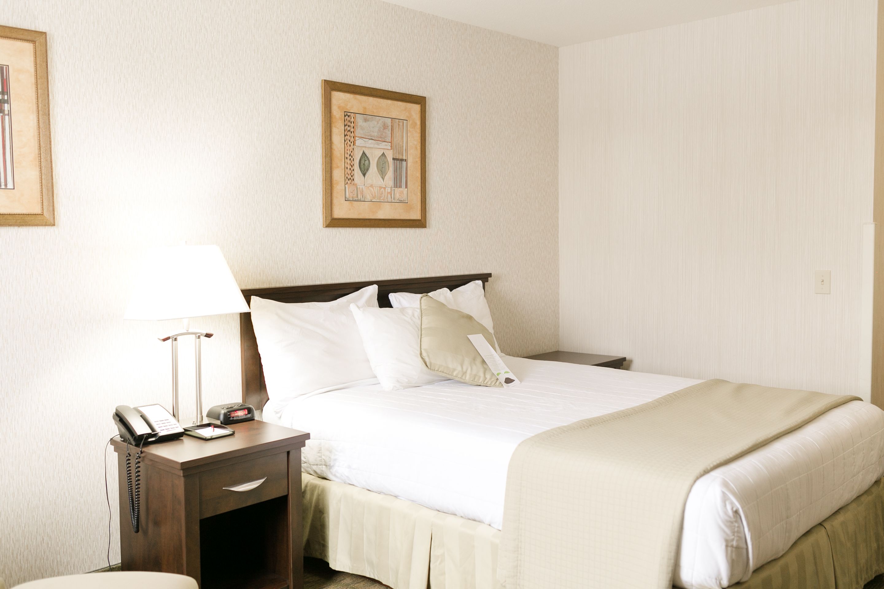 Una habitación de hotel con una cama, mesita de noche, lámpara y un cuadro en la pared.