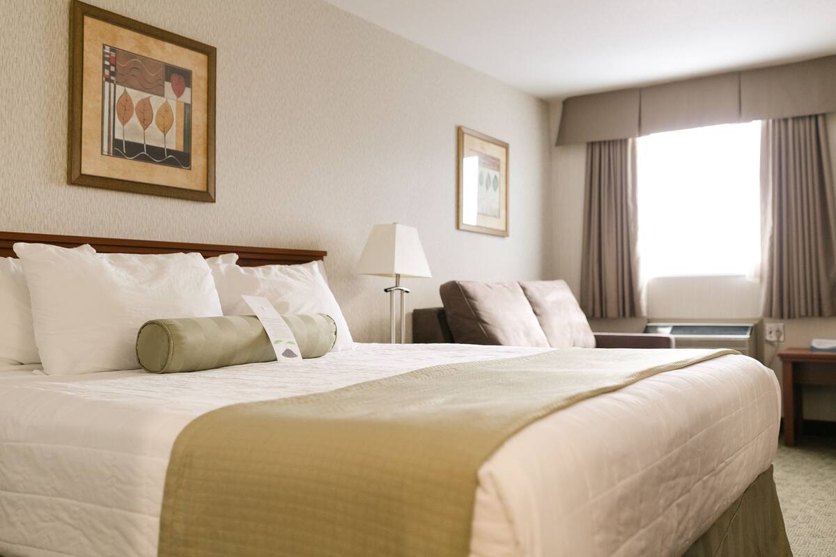 Standard Room, 1 King Bed with Sofa bed | Blackout drapes, WiFi (free), bed sheets