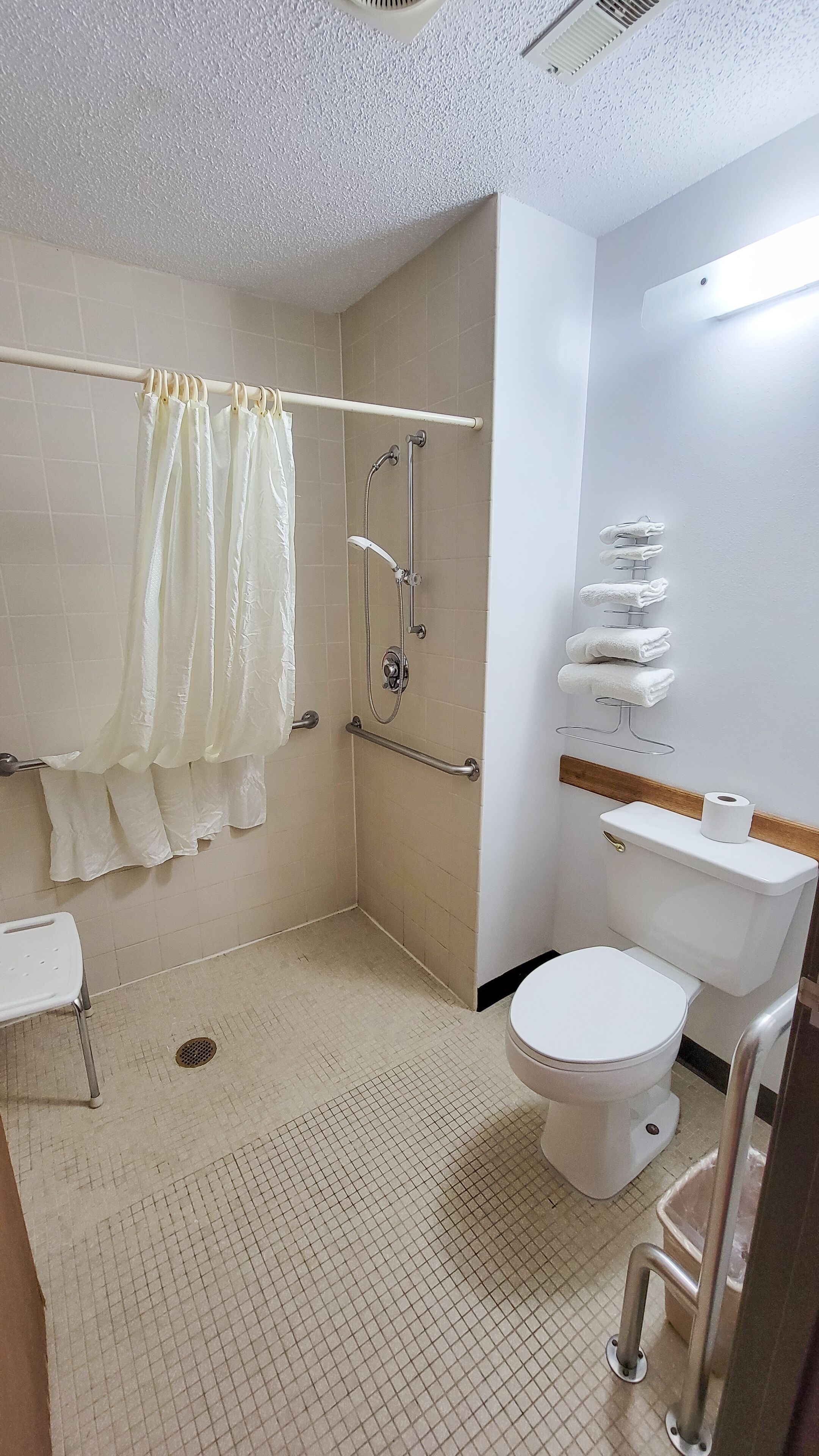A bathroom with a shower, toilet, and handrails.