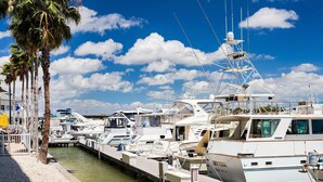 Eine Marina mit mehreren Yachten im Hafen, eine Palme und blauer Himmel.