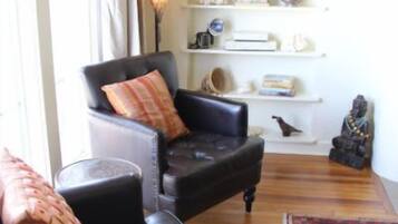 Smart TV, fireplace, DVD player, books