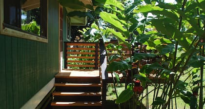 North Shore Guest House @ Mauin seikkailutila