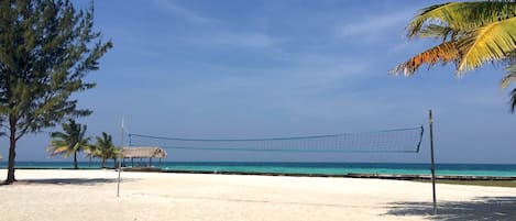 A beach volleyball court with a net, palm trees, and a clear blue sky.
