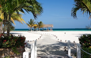 A beach pathway leading to a thatched structure with palm trees and flowers on either side.