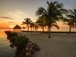Ein Strand mit Palmen und einem Häuschen mit Reetdach.