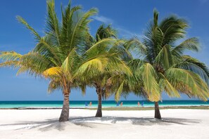 On the beach - Exclusive private island off the coast of Belize (Dangriga)