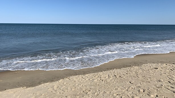 Une plage avec un ciel dégagé et des vagues calmes.