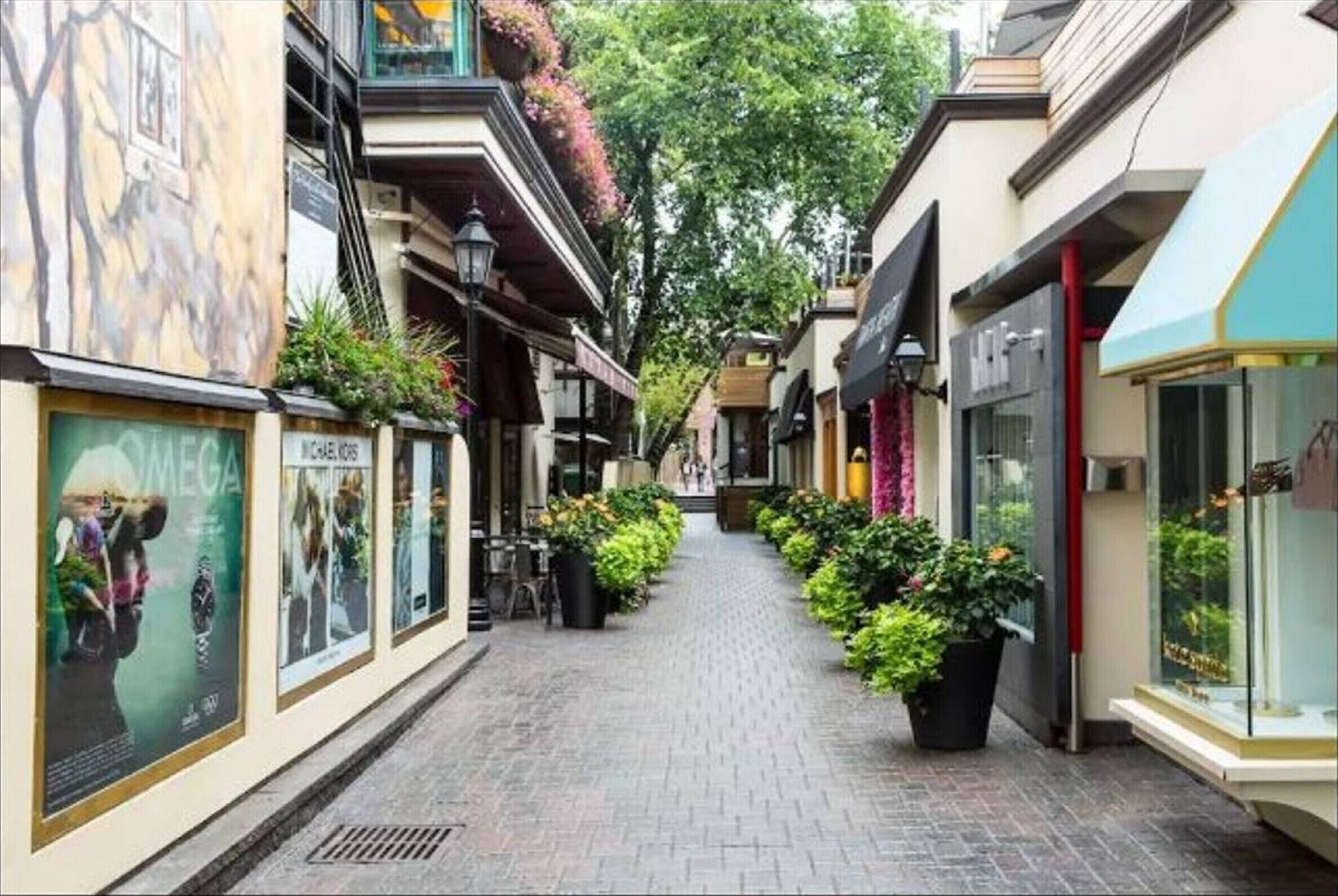 Une rue piétonne étroite, bordée de boutiques et de cafés, avec des terrasses et des plantes en pot.