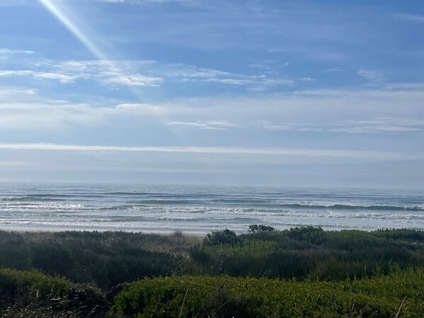 A coastal landscape with a view of the ocean and a forested area in the foreground. - Ground Floor Beach Condo • Ocean Views • Pool • Hot Tub • Gym • Pet Friendly (Westport)
