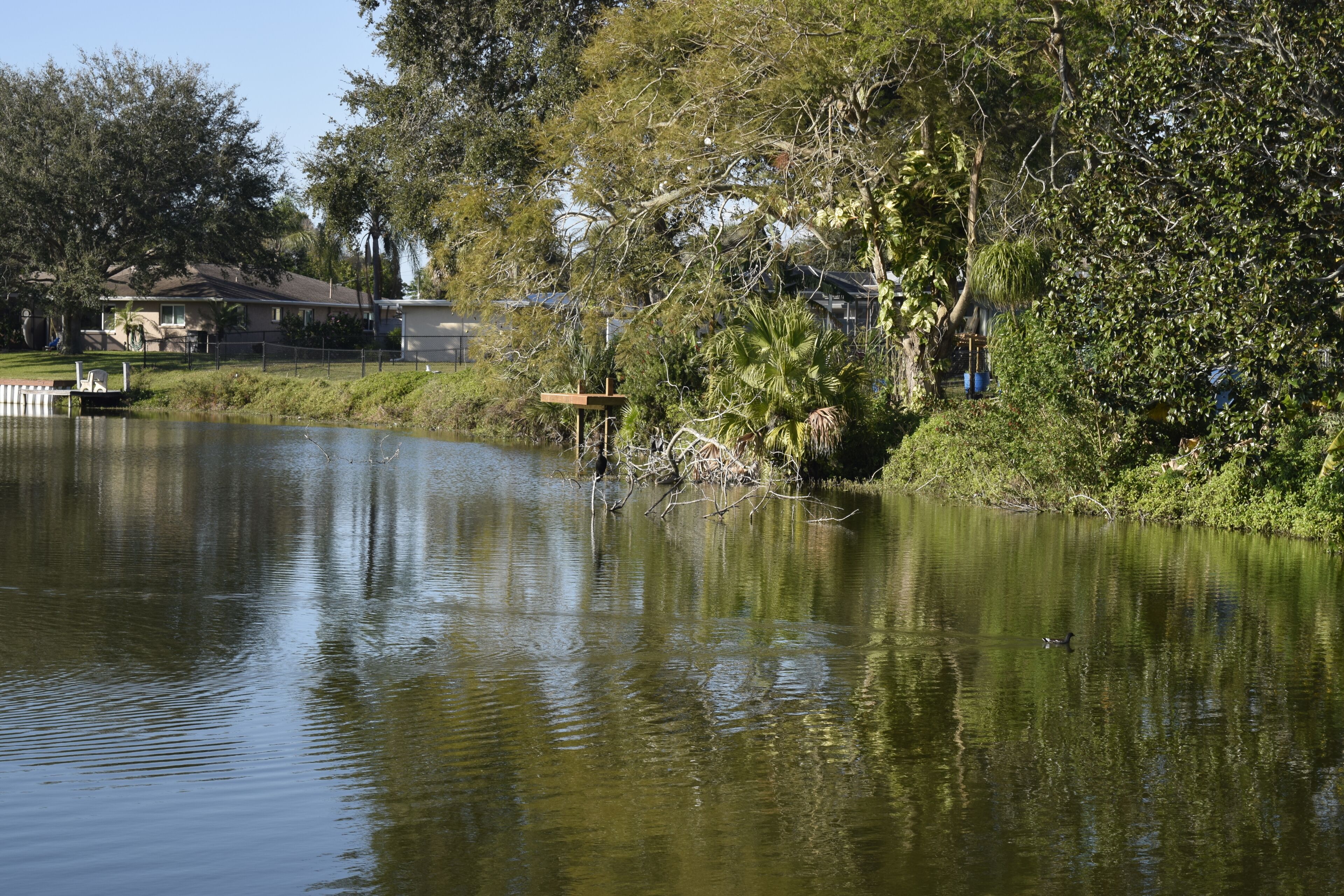 A calm lake with a dock and a small wooden structure on the shore.