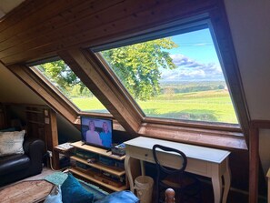 Älytelevisio, kirjoja