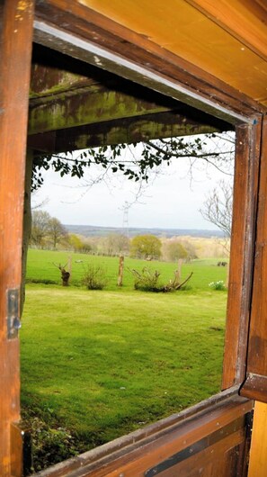 A view through a window of a green field with a fence and a distant tree line.