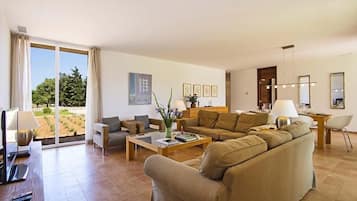 TV, DVD player, table tennis, books