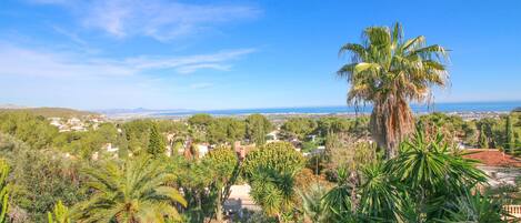 Un paisaje tropical con una palmera destacada, abundante vegetación y una vista distante de un pueblo costero.