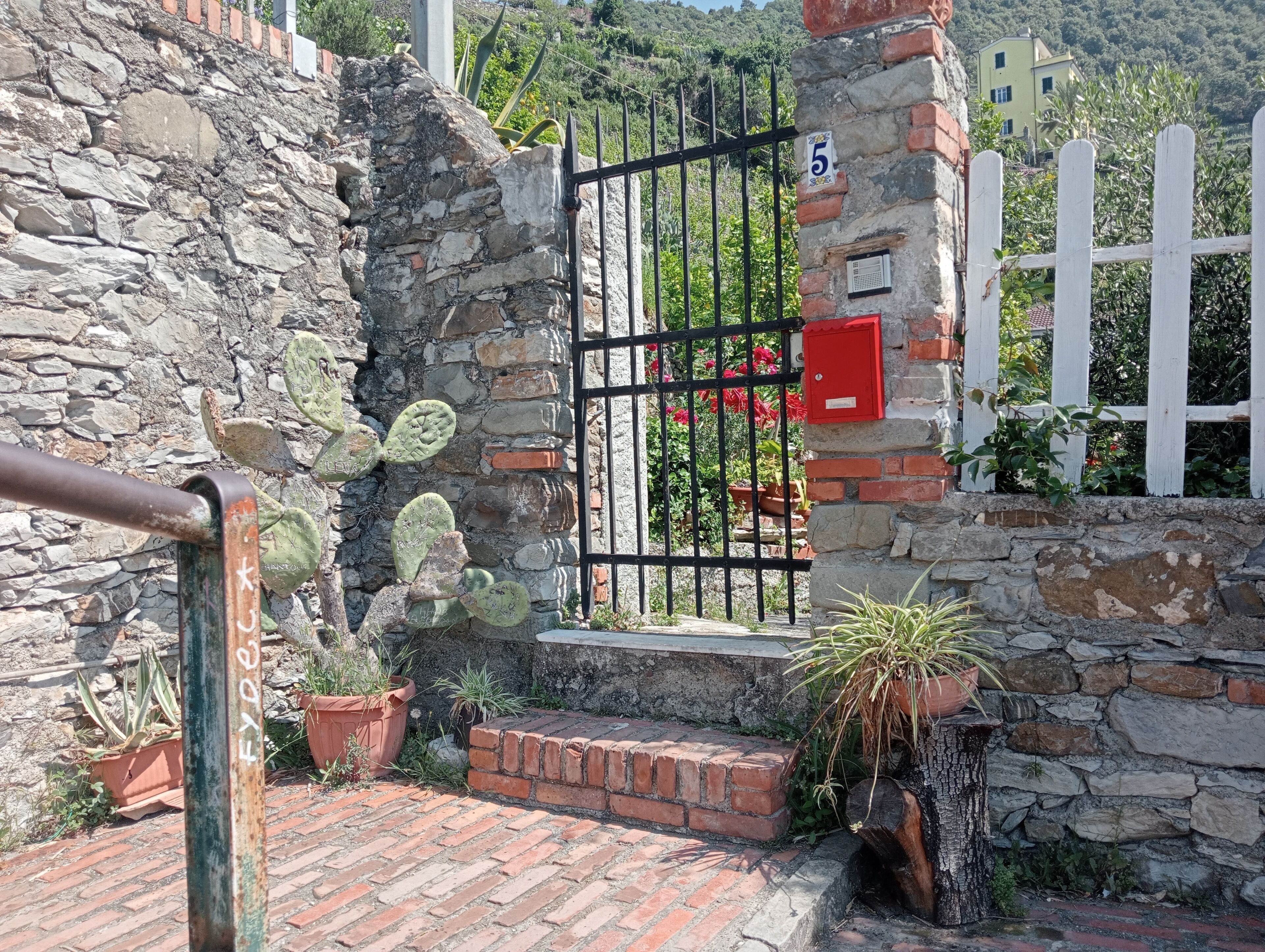 Parco della struttura