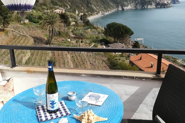 Servei de restauració a l'aire lliure