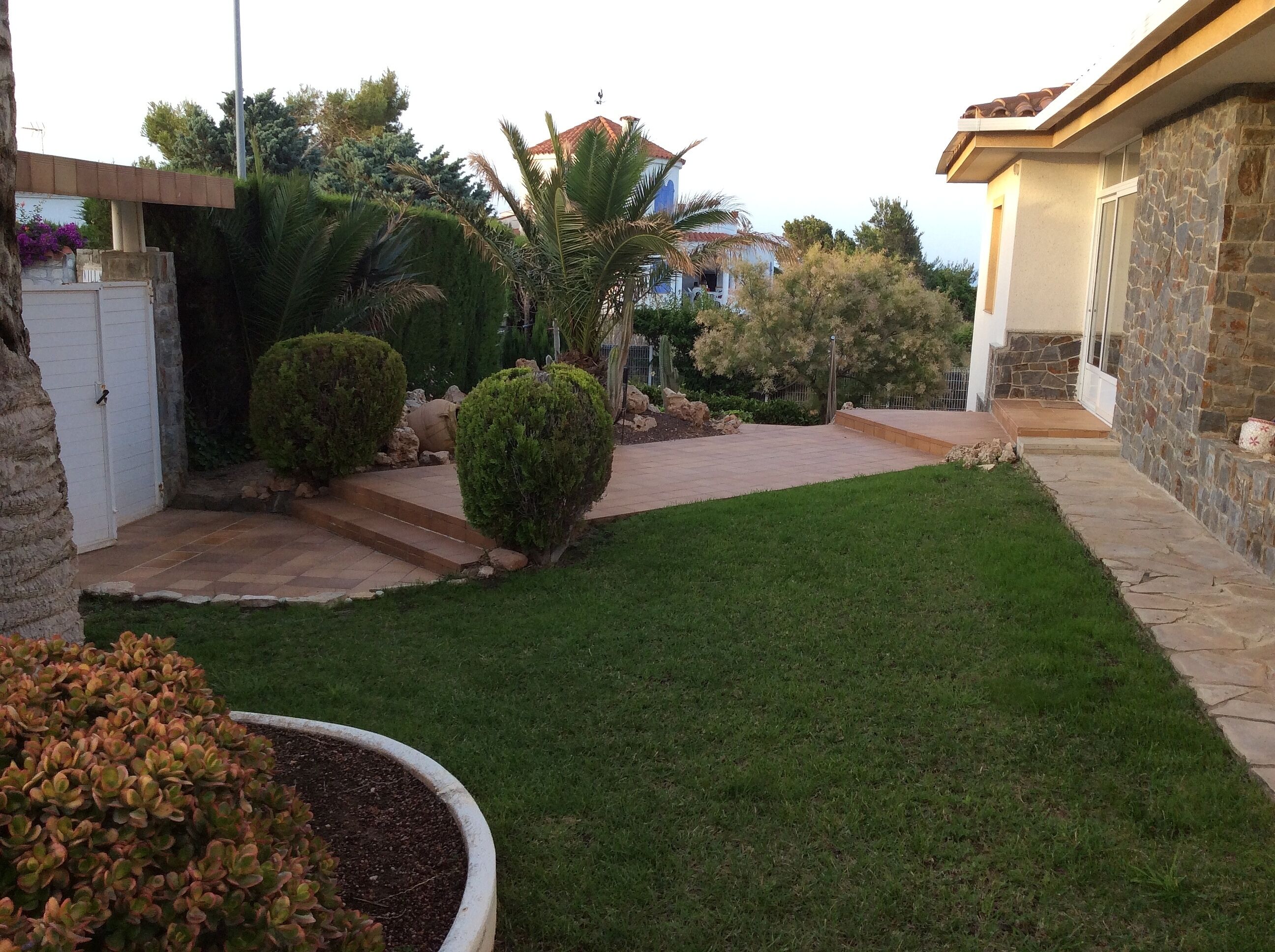 Un jardin bien entretenu, avec une pelouse, un chemin de pierres et divers arbustes.