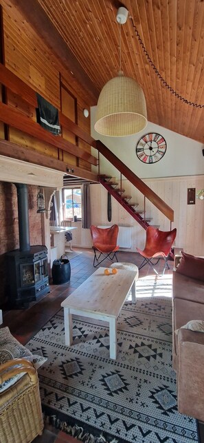 Fireplace, DVD player, books, video library