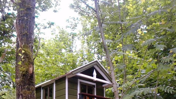 A treehouse with a wooden deck and a ladder leading up to it, surrounded by dense foliage.